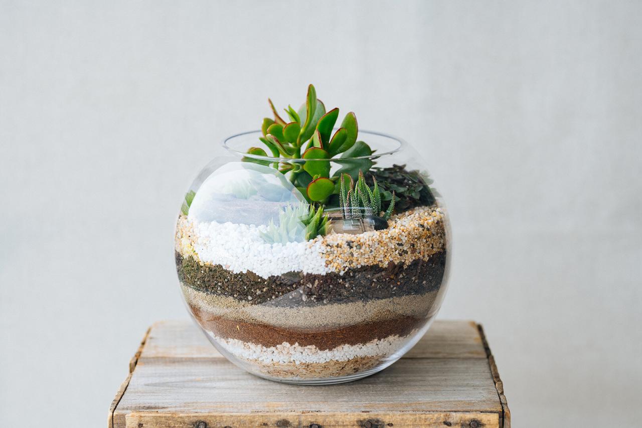 How To Layer A Terrarium