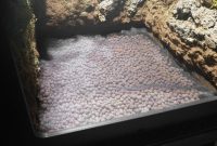 Terrarium False Bottom 101 - How to Make a Drainage Layer