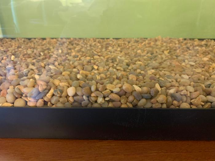 Drainage: 3 Popular Vivarium Drainage Layers, and, Do You Even Need One? — Vivarium Collective